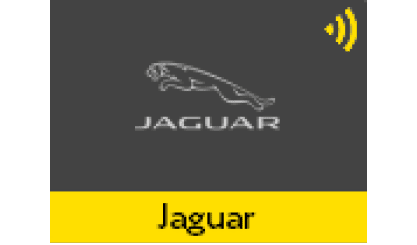 A yellow and black sign with the word Jaguar on it. Description generated by AI
