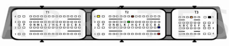 Rectangle