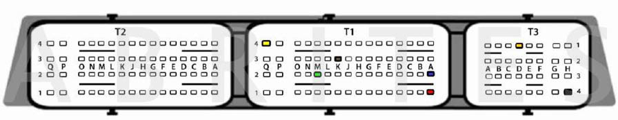 Rectangle