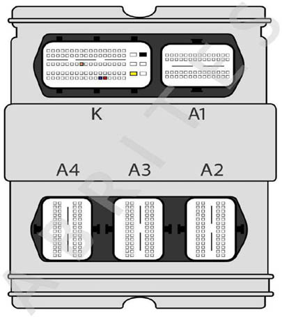 Rectangle